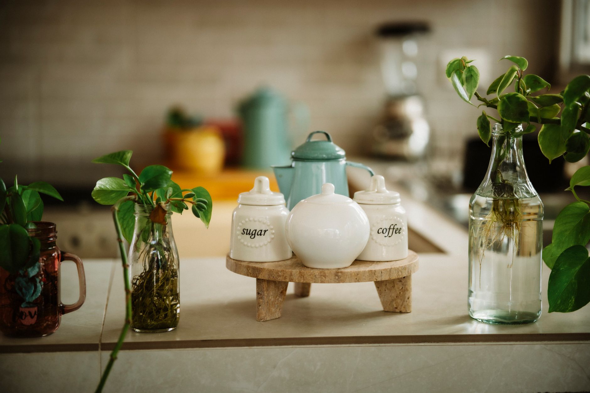 Clear glass jars of coffee and sugar with matching lids on a wooden shelf